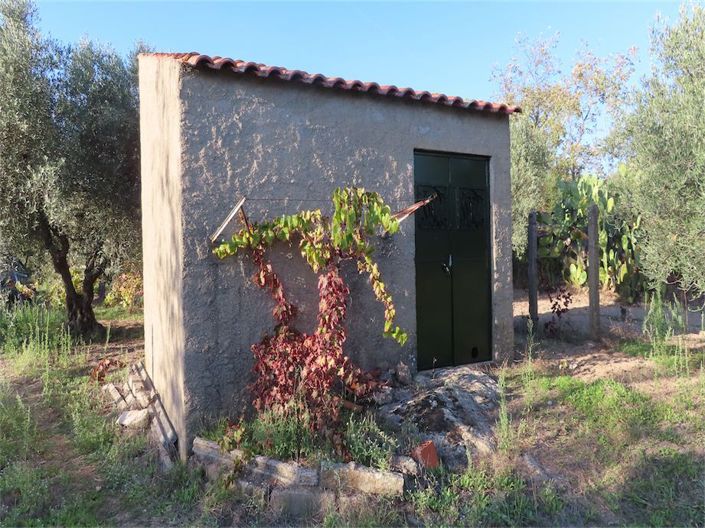 Image No.20-Propriété à vendre à Castelo Branco