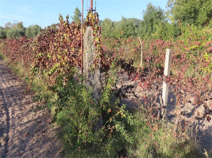 Image No.22-Propriété à vendre à Castelo Branco