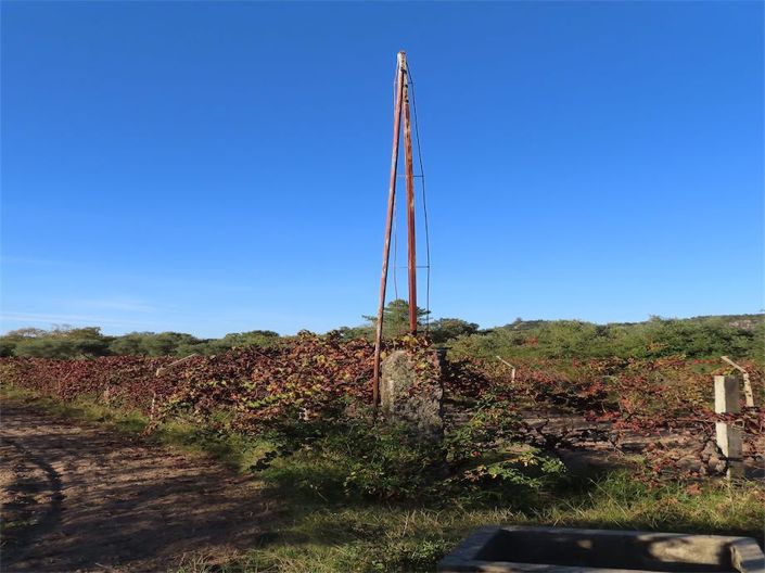 Image No.23-Propriété à vendre à Castelo Branco