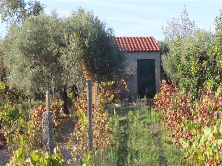 Image No.26-Propriété à vendre à Castelo Branco