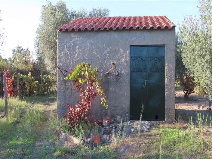 Image No.27-Propriété à vendre à Castelo Branco
