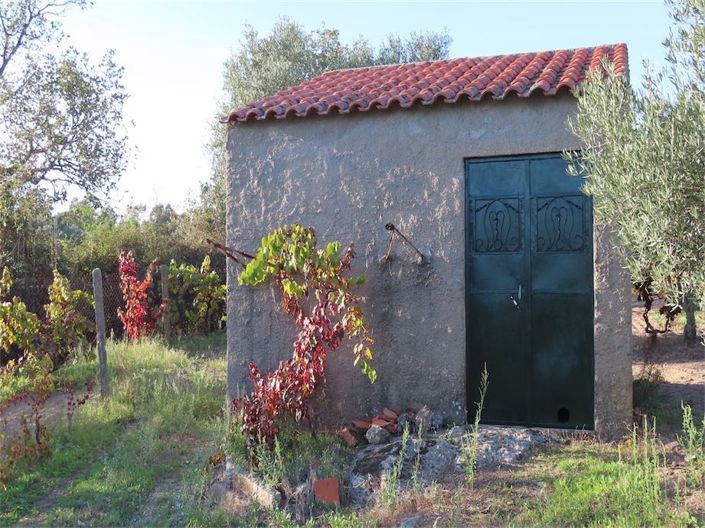 Image No.28-Propriété à vendre à Castelo Branco