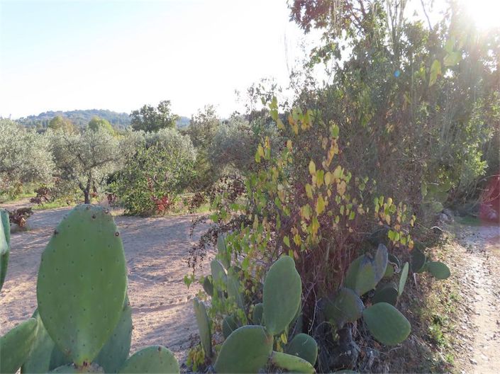 Image No.3-Propriété à vendre à Castelo Branco