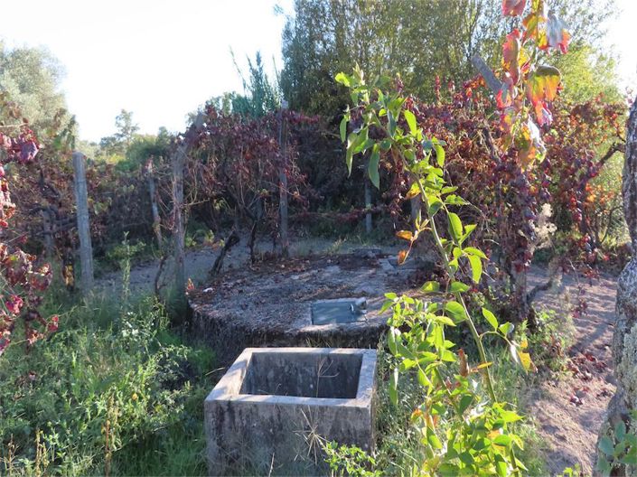 Image No.30-Propriété à vendre à Castelo Branco