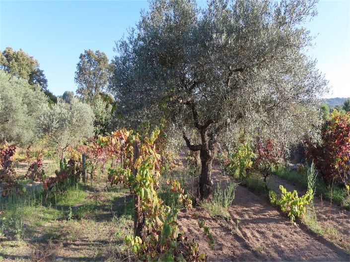 Image No.36-Propriété à vendre à Castelo Branco