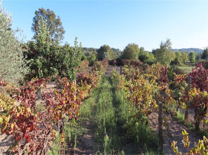 Image No.37-Propriété à vendre à Castelo Branco