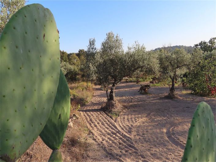 Image No.4-Propriété à vendre à Castelo Branco