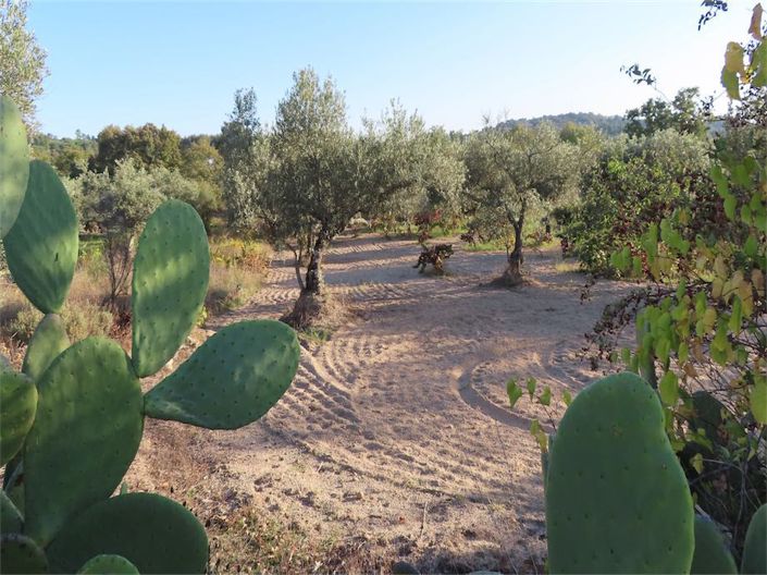 Image No.5-Propriété à vendre à Castelo Branco