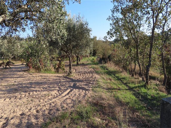 Image No.6-Propriété à vendre à Castelo Branco