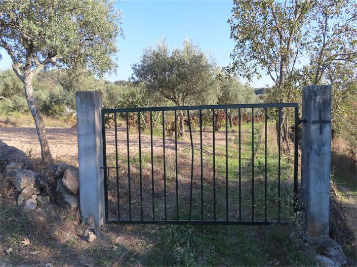 Image No.7-Propriété à vendre à Castelo Branco