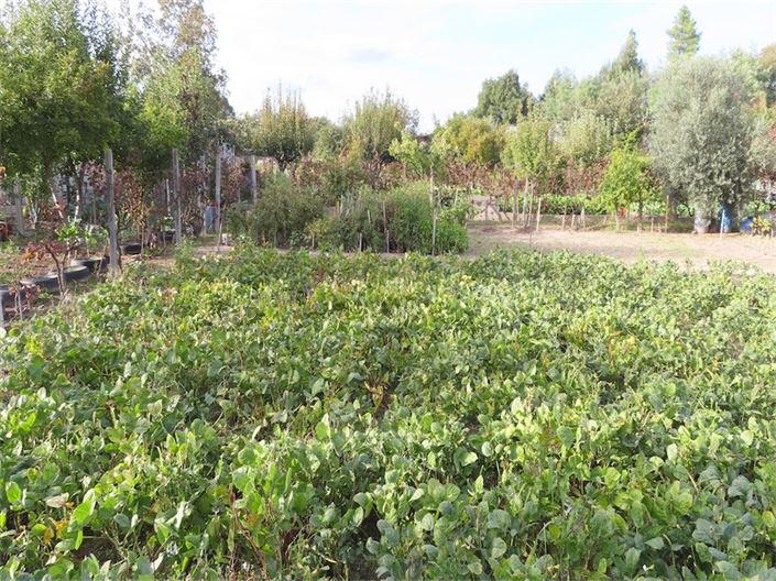 Image No.18-Property for sale