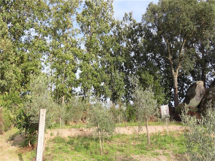 Image No.44-Property for sale