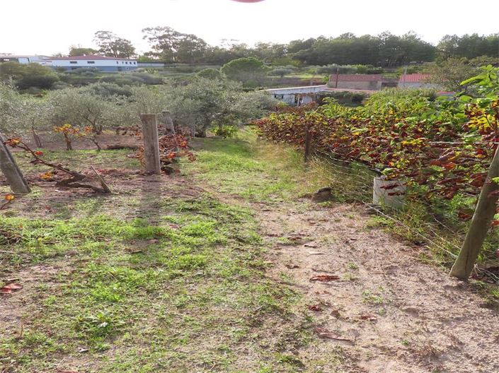 Image No.45-Property for sale