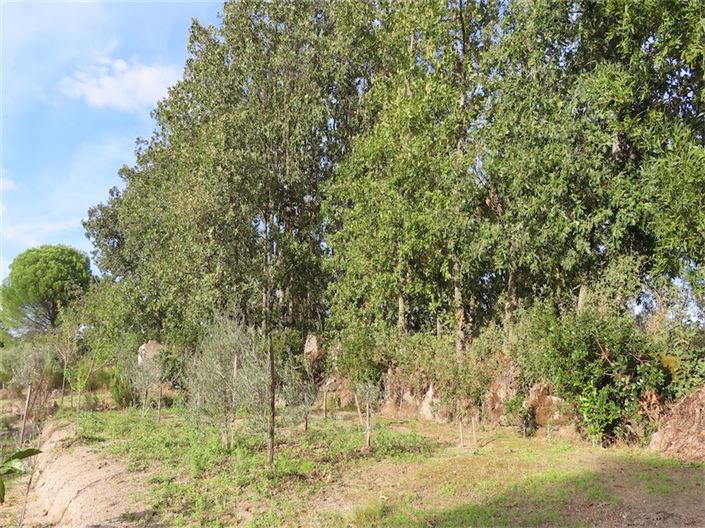 Image No.46-Property for sale