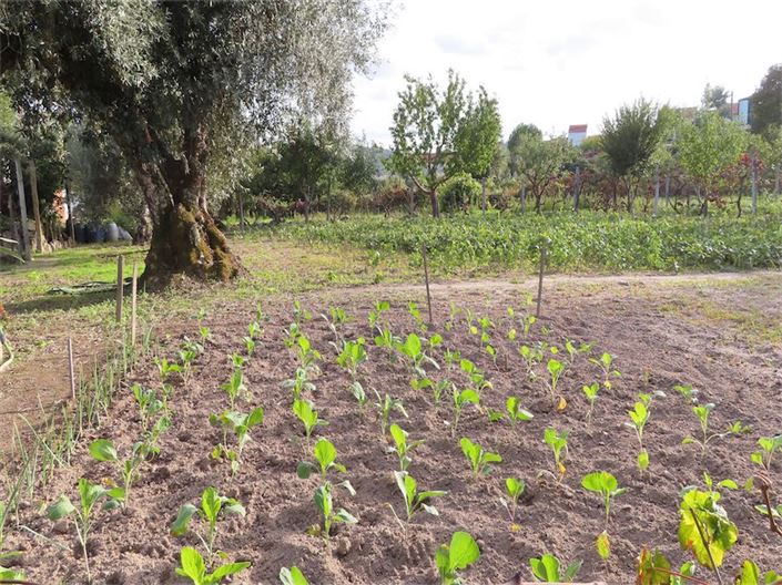 Image No.50-Property for sale