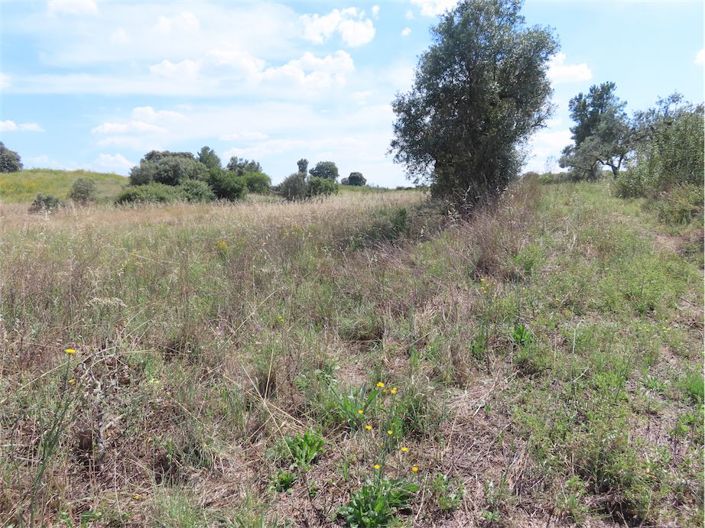 Image No.10-Propriété à vendre à Castelo Branco