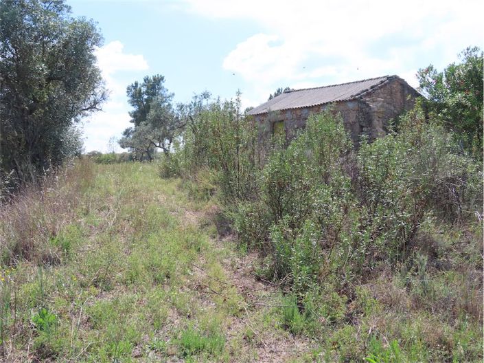 Image No.11-Propriété à vendre à Castelo Branco