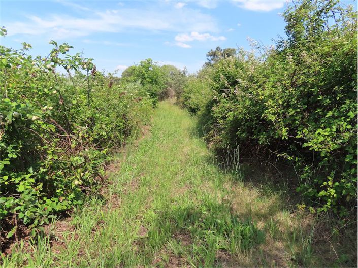 Image No.12-Propriété à vendre à Castelo Branco