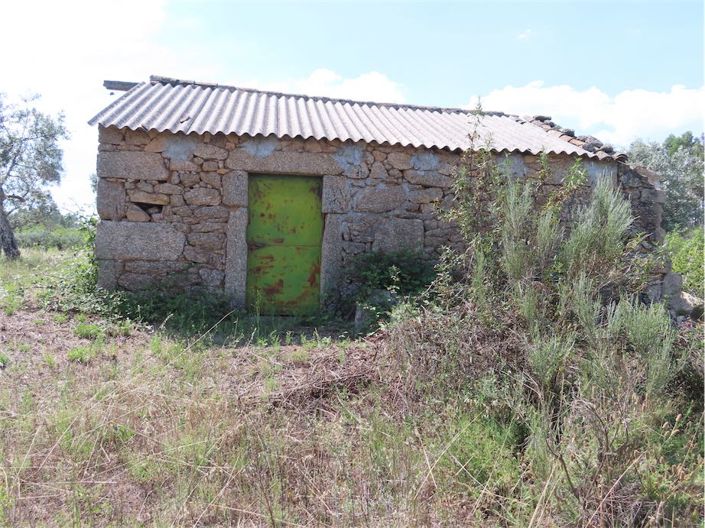 Image No.2-Propriété à vendre à Castelo Branco