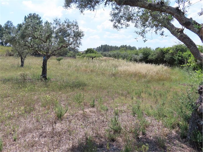 Image No.4-Propriété à vendre à Castelo Branco