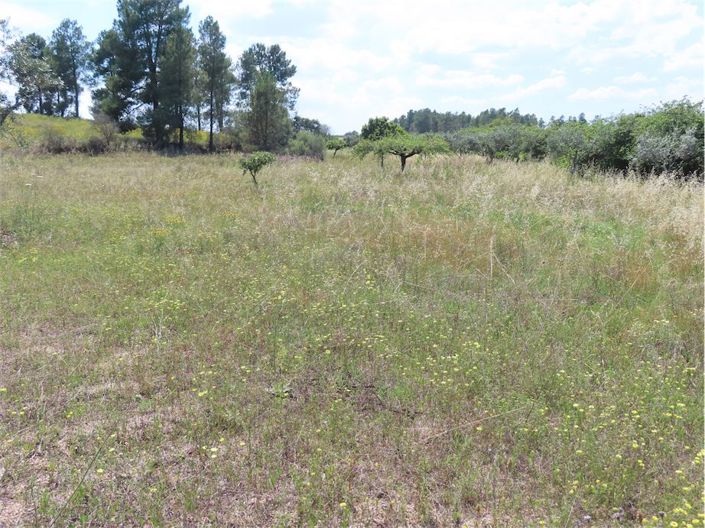 Image No.5-Propriété à vendre à Castelo Branco