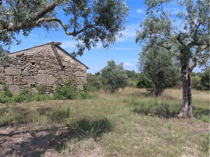 Image No.7-Propriété à vendre à Castelo Branco