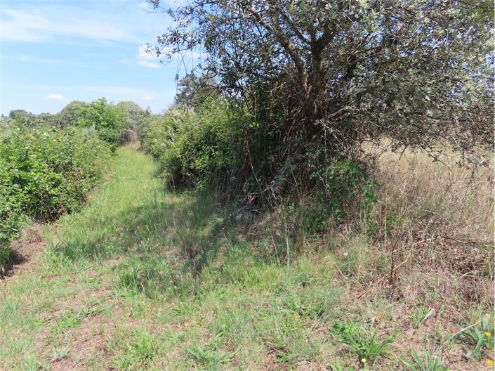 Image No.9-Propriété à vendre à Castelo Branco