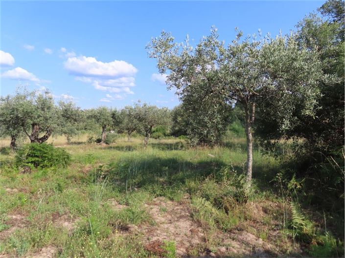 Image No.10-Propriété à vendre à Castelo Branco