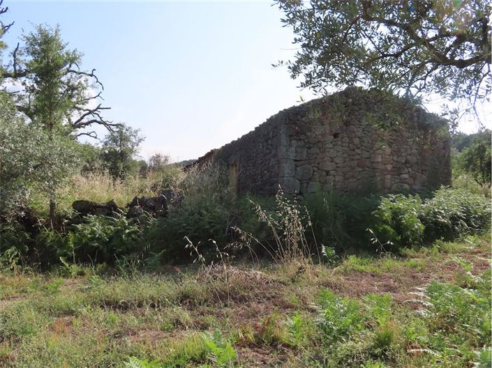 Image No.11-Propriété à vendre à Castelo Branco