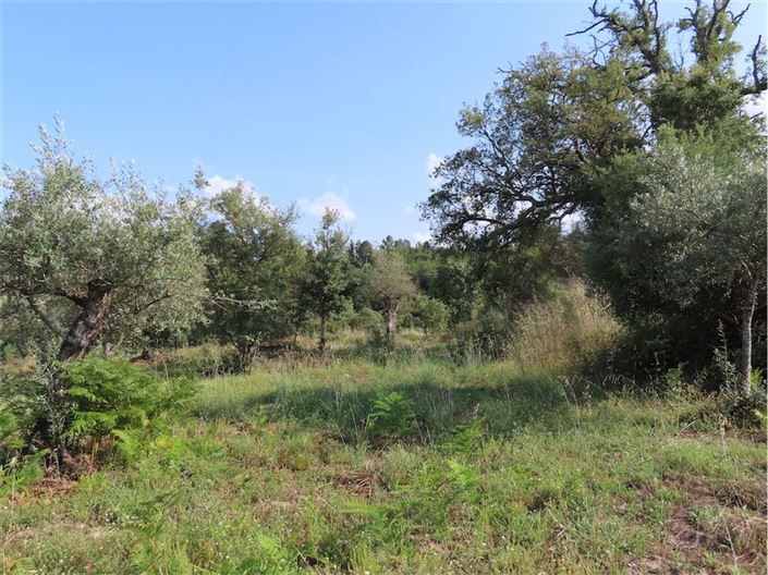 Image No.12-Propriété à vendre à Castelo Branco