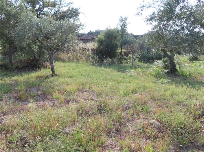 Image No.13-Propriété à vendre à Castelo Branco