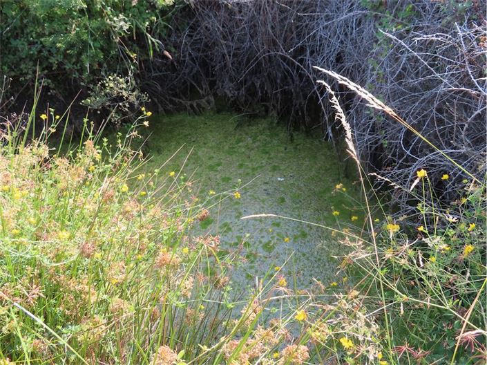 Image No.14-Propriété à vendre à Castelo Branco