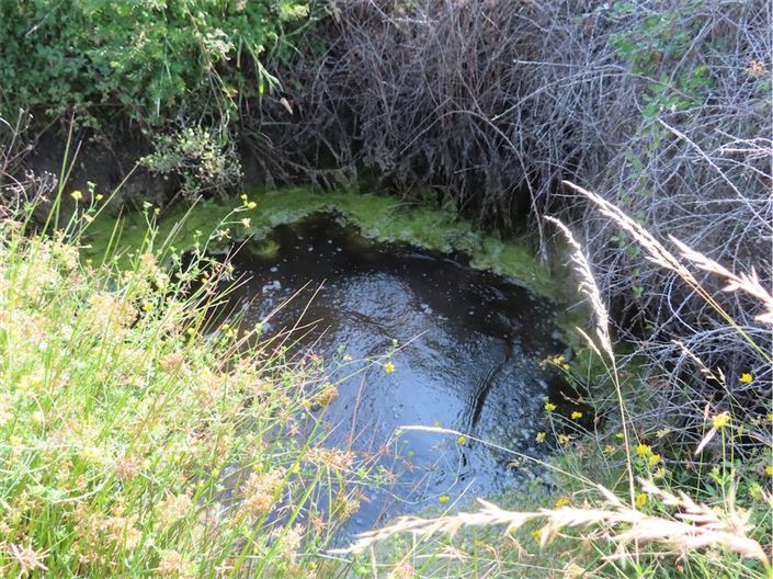 Image No.15-Propriété à vendre à Castelo Branco
