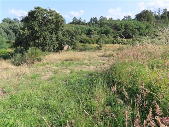 Image No.16-Propriété à vendre à Castelo Branco