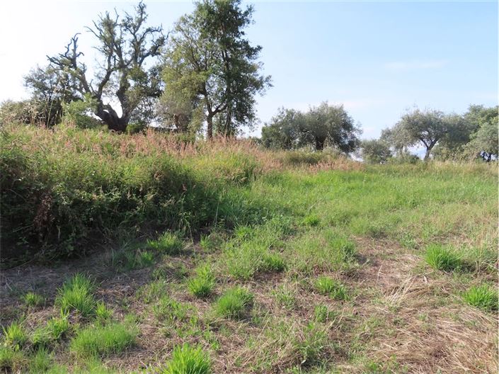 Image No.17-Propriété à vendre à Castelo Branco