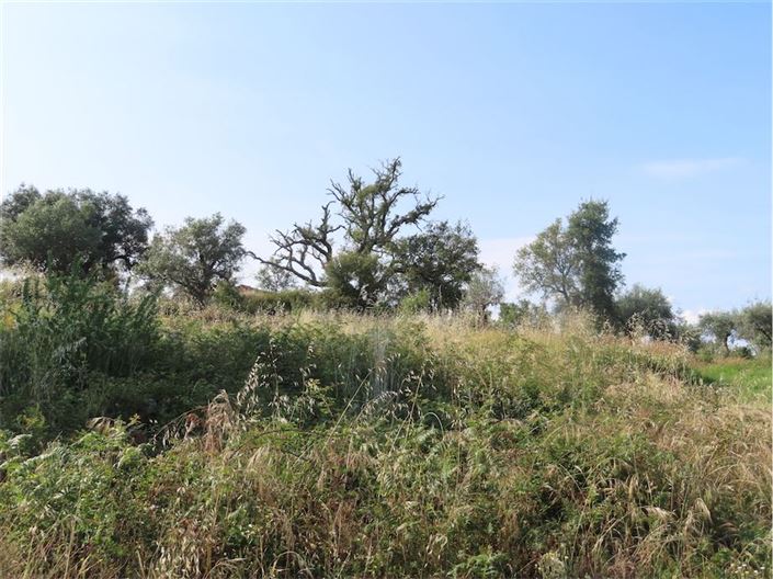 Image No.18-Propriété à vendre à Castelo Branco