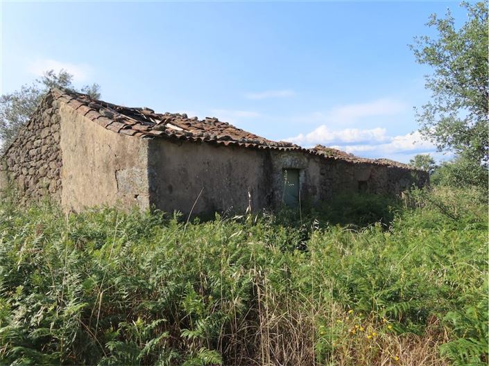 Image No.2-Propriété à vendre à Castelo Branco