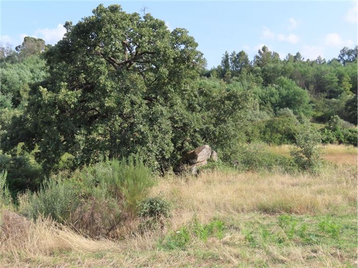 Image No.20-Propriété à vendre à Castelo Branco