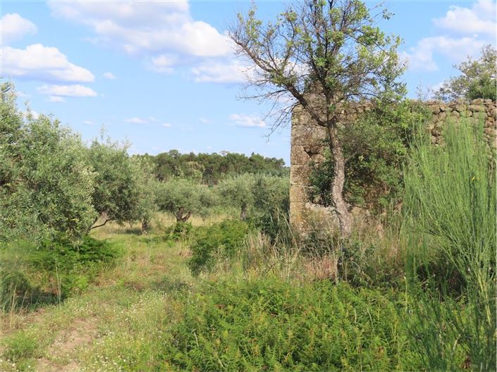 Image No.21-Propriété à vendre à Castelo Branco