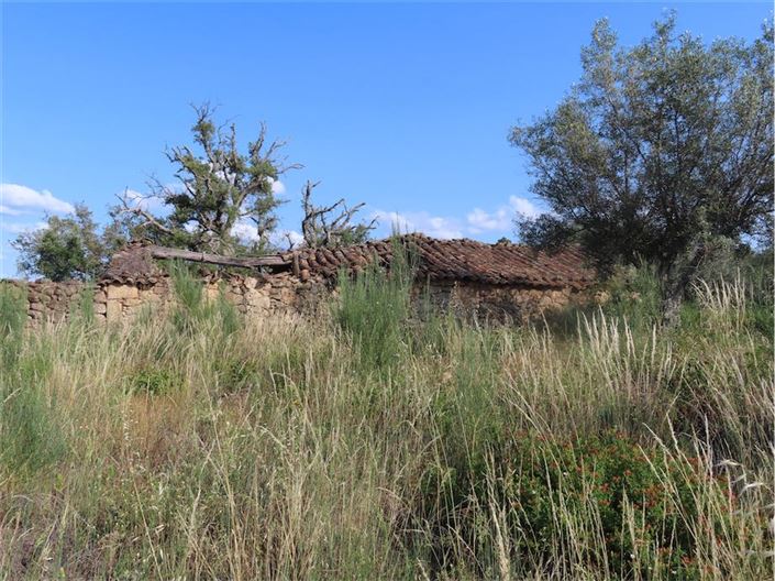 Image No.22-Propriété à vendre à Castelo Branco