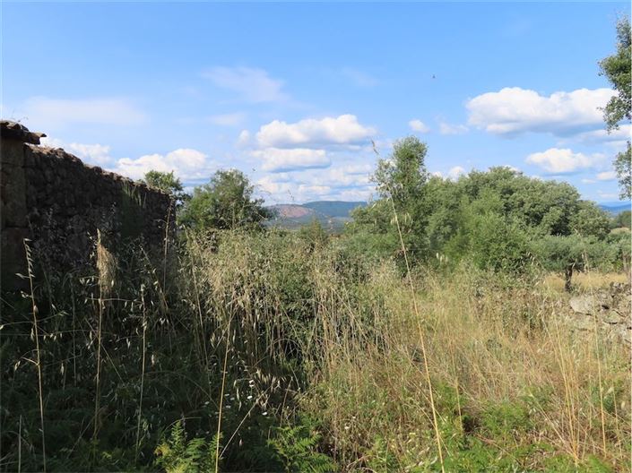 Image No.5-Propriété à vendre à Castelo Branco