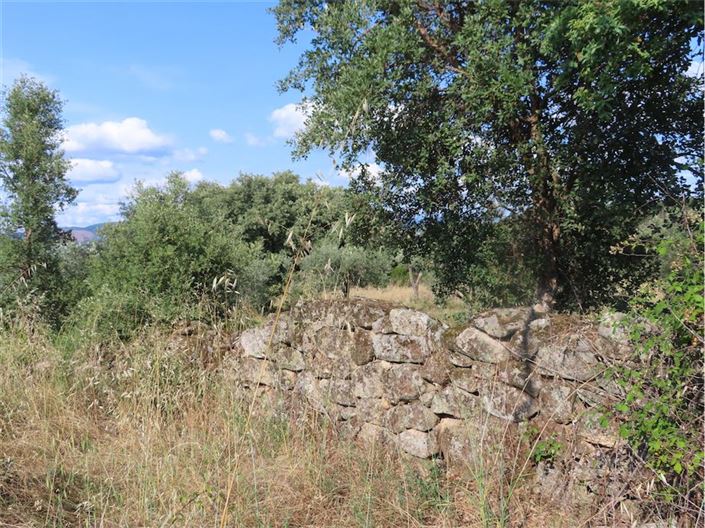 Image No.6-Propriété à vendre à Castelo Branco