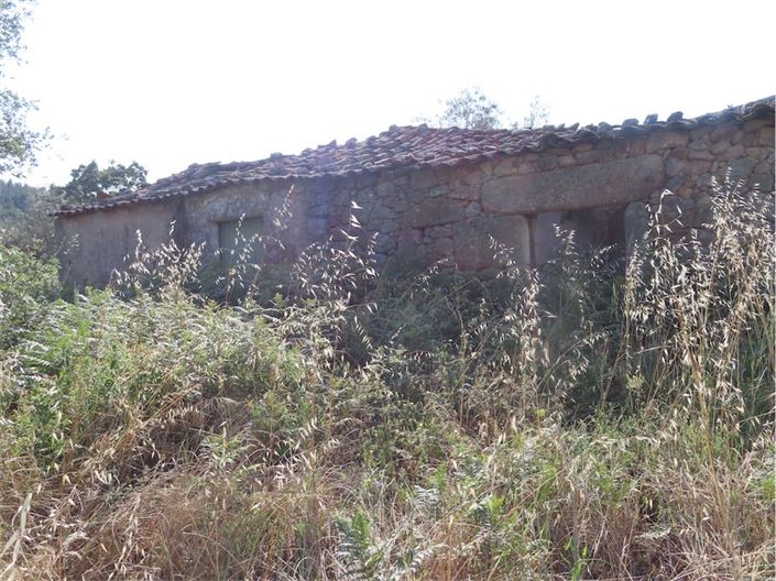 Image No.7-Propriété à vendre à Castelo Branco