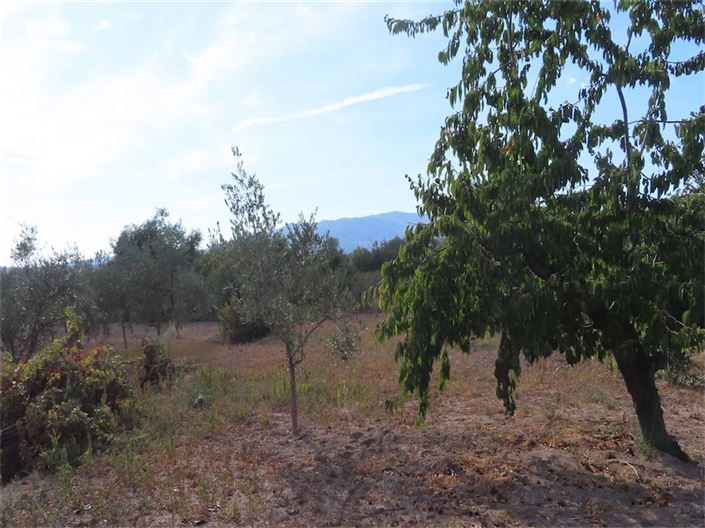 Image No.10-Propriété à vendre à Castelo Branco