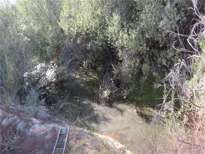 Image No.13-Propriété à vendre à Castelo Branco