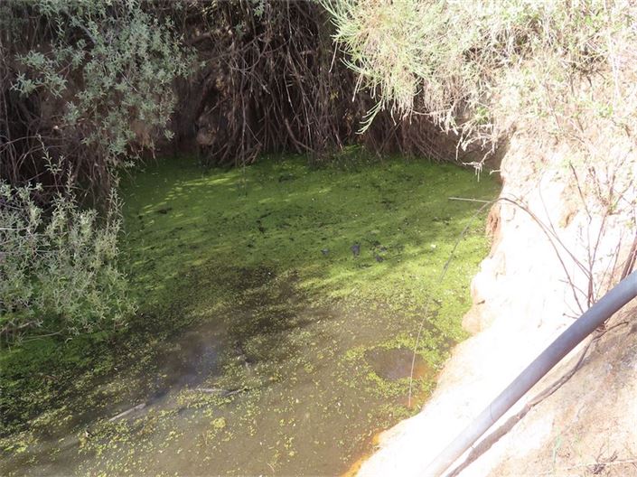 Image No.14-Propriété à vendre à Castelo Branco