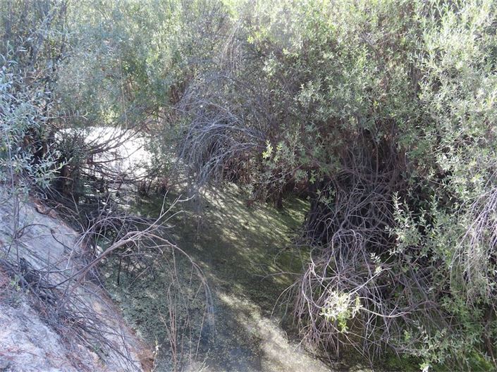 Image No.15-Propriété à vendre à Castelo Branco