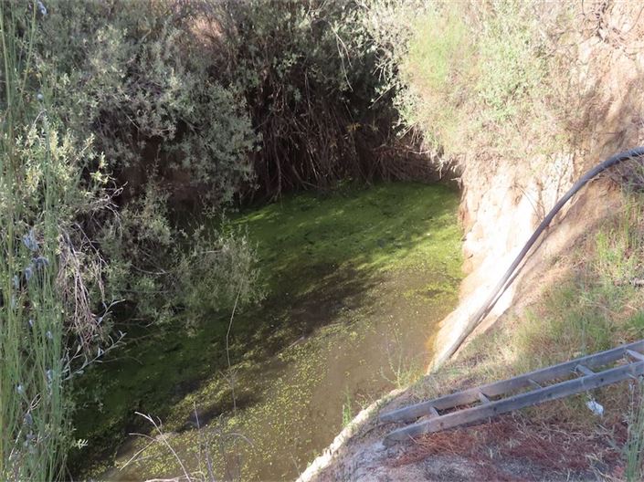 Image No.16-Propriété à vendre à Castelo Branco