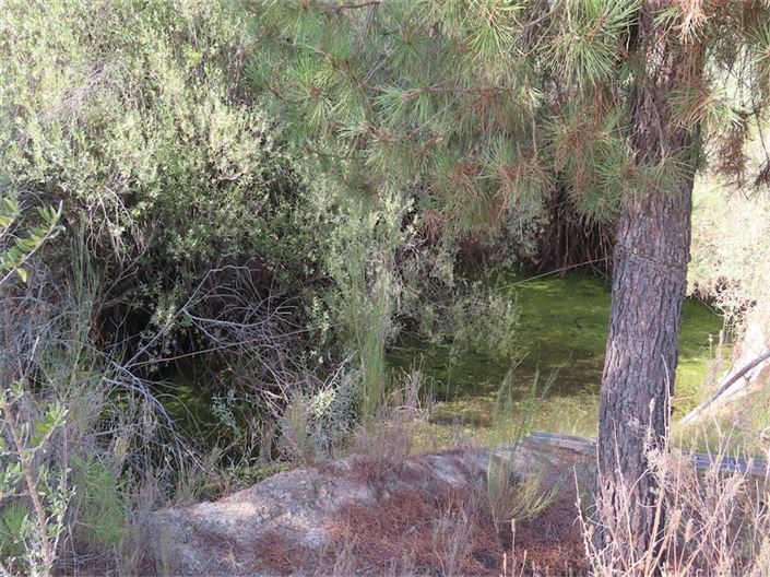 Image No.17-Propriété à vendre à Castelo Branco