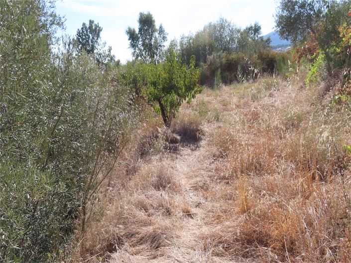 Image No.19-Propriété à vendre à Castelo Branco